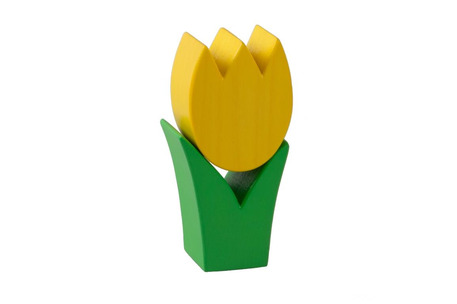 Tulpe mini gelb