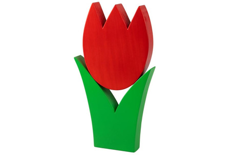 Tulpe gross rot