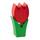 Tulpe mini rot