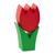 Tulpe mini rot