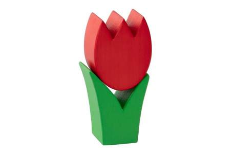 Tulpe mini rot