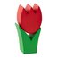 Tulpe mini rot