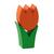 Tulpe mini orange