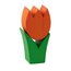 Tulpe mini orange