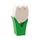 Tulpe mini weiss