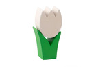 Tulpe mini weiss