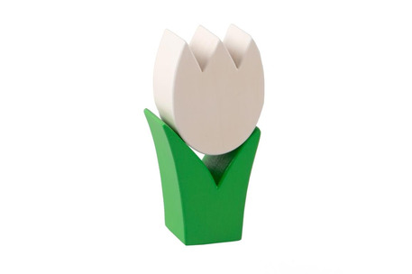 Tulpe mini weiss