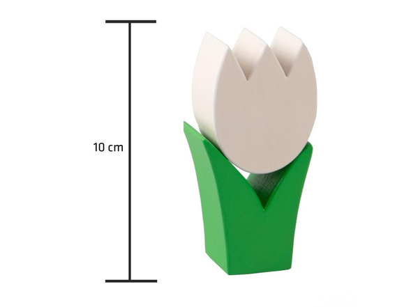Tulpe mini weiss