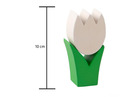 Tulpe mini weiss