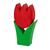 Tulpe klein rot