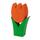Tulpe klein orange