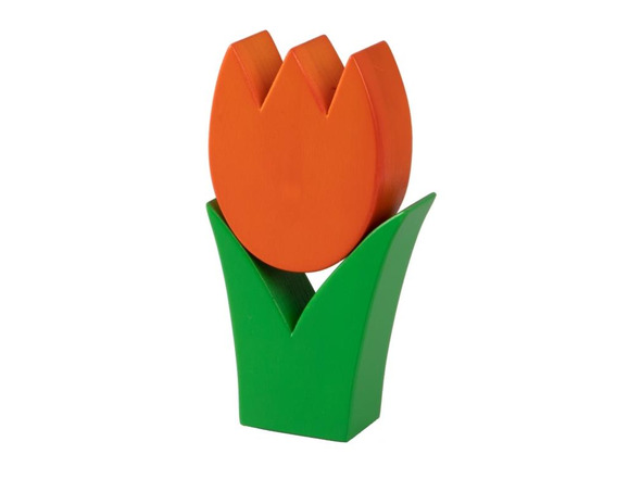Tulpe klein orange