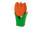 Tulpe klein orange