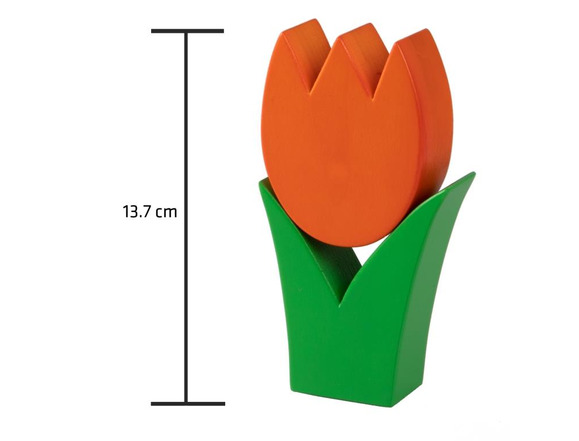Tulpe klein orange