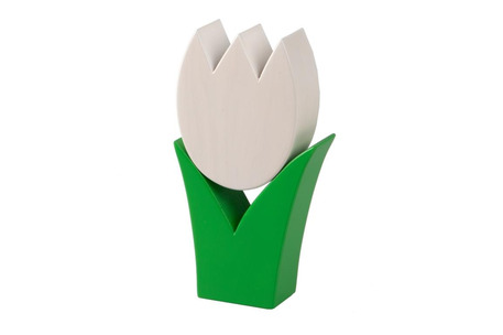 Tulpe klein weiss