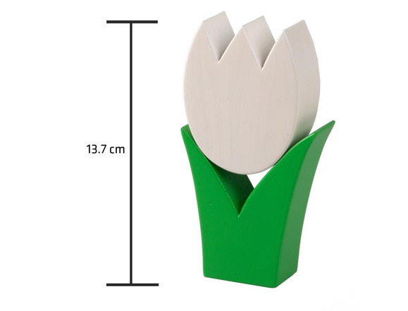 Tulpe klein weiss