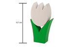 Tulpe klein weiss
