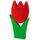 Tulpe gross rot