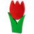 Tulpe gross rot
