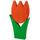 Tulpe gross orange