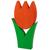 Tulpe gross orange