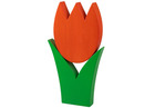 Tulpe gross orange