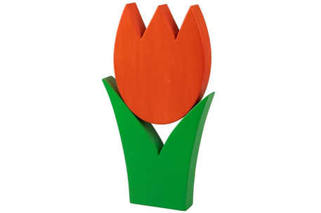 Tulpe gross orange