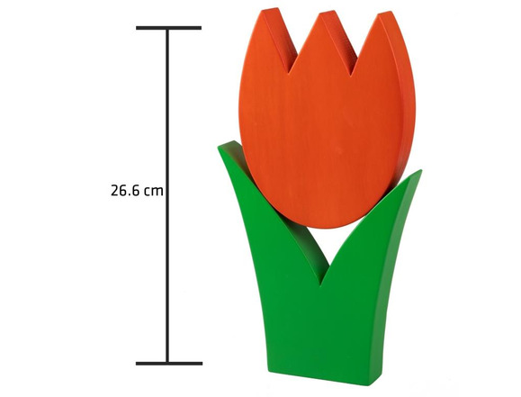 Tulpe gross orange