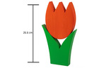 Tulpe gross orange