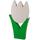 Tulpe gross weiss