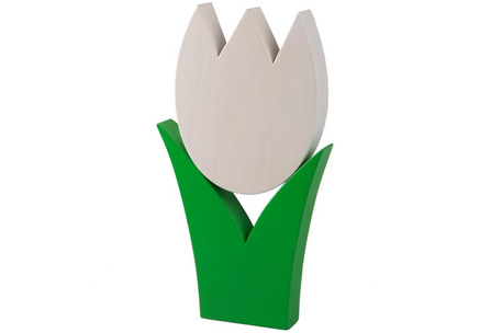 Tulpe gross weiss