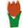 Tulpe mittel orange