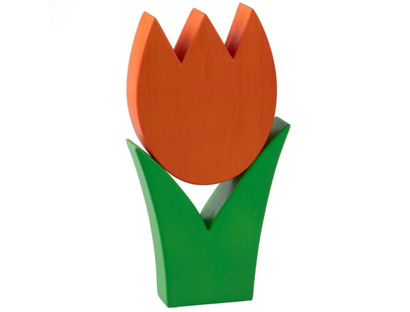Tulpe mittel orange