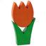 Tulpe mittel orange