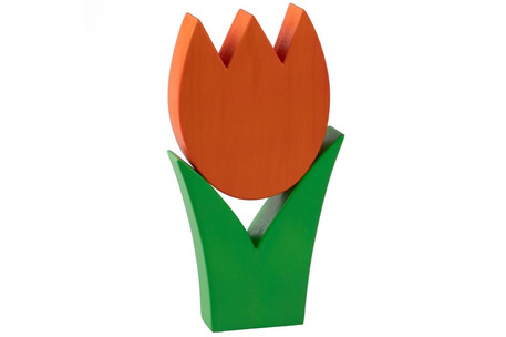 Tulpe mittel orange