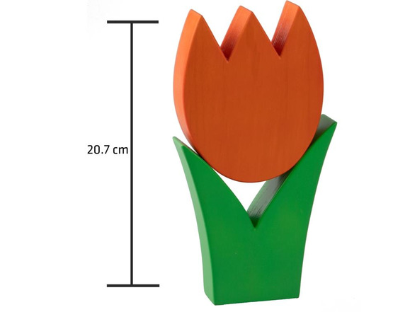 Tulpe mittel orange