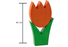 Tulpe mittel orange