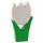 Tulpe mittel weiss
