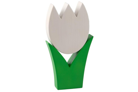 Tulpe mittel weiss