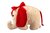 Teddyfant rot